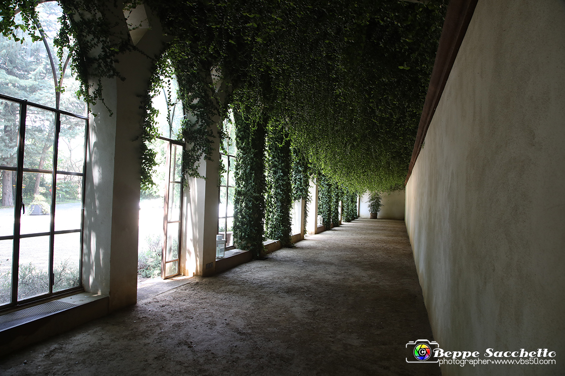 VBS_1505 - Castello di Miradolo - Mostra Oltre il giardino l'Abbecedario di paolo Pejrone.jpg